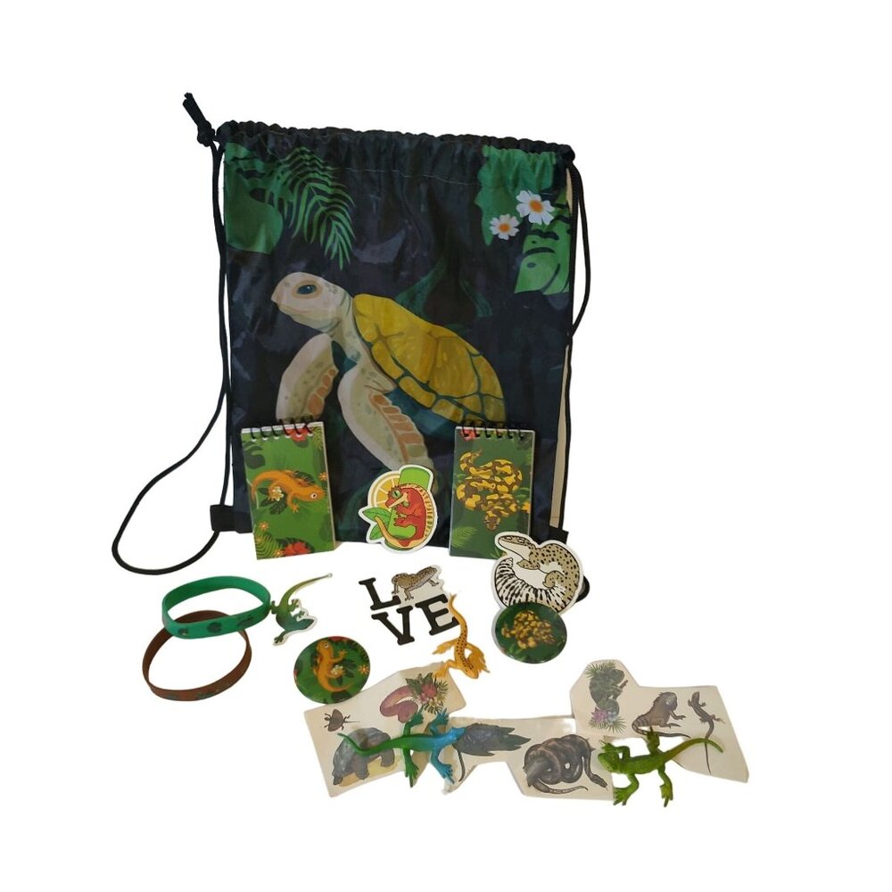 Jungle Reptile Fun Pack: Drawstring Bag Stickers Notebook Bracelets & Toy Lizard